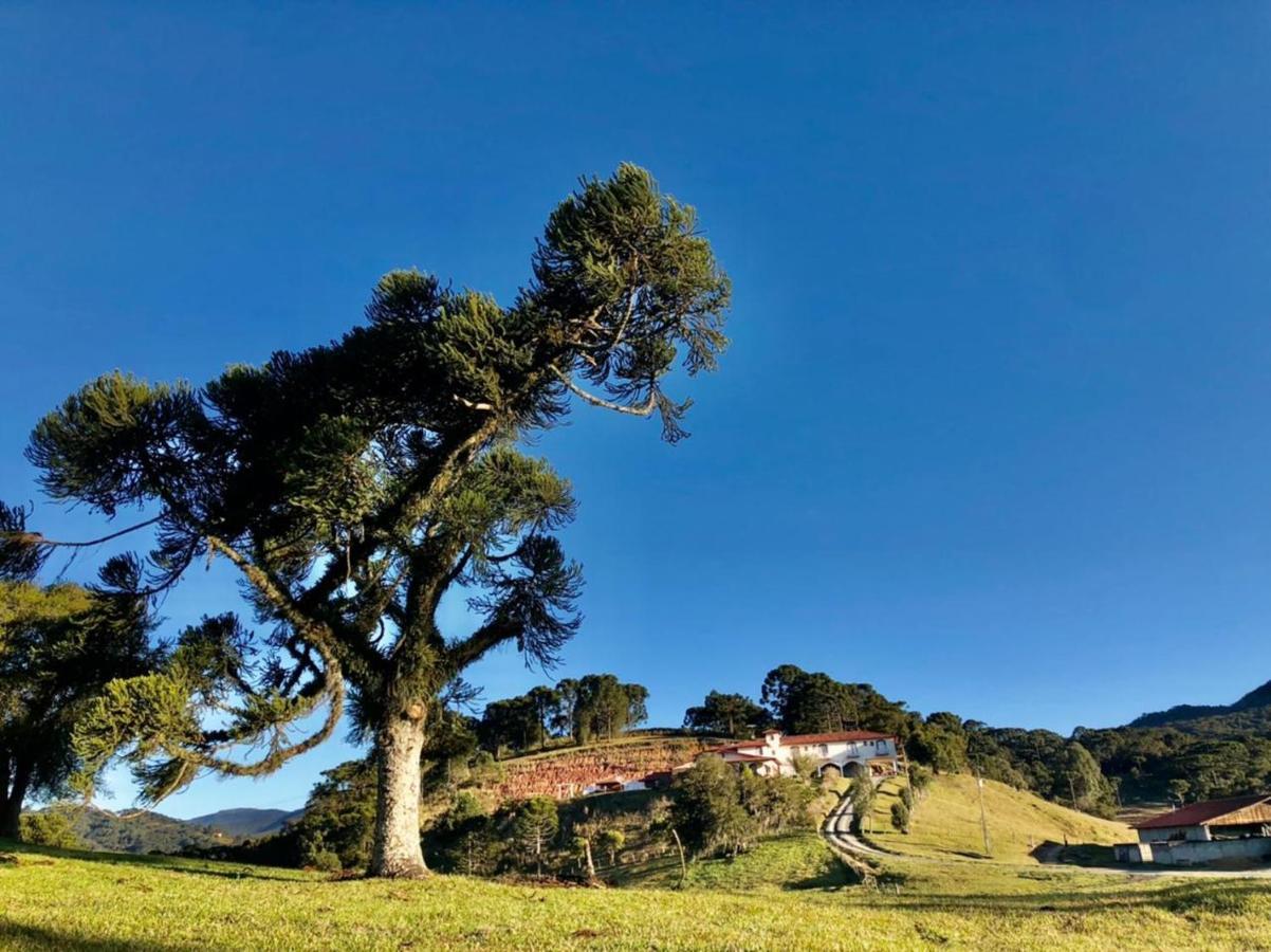 Pousada Fazenda Da Invernada أوروبيسي المظهر الخارجي الصورة